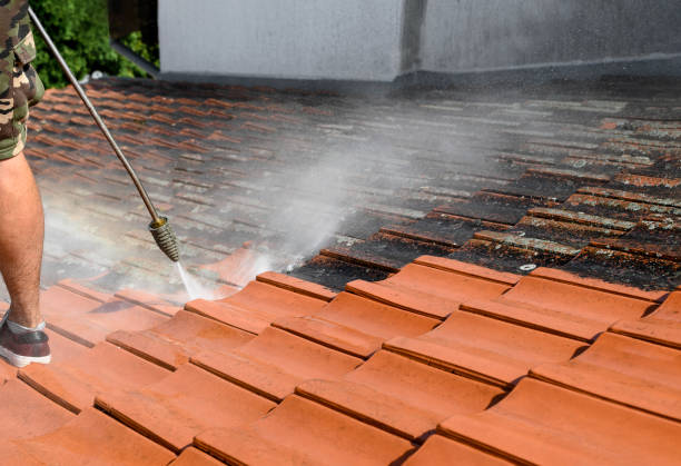 Best Roof Pressure Washing  in Point Lookout, NY